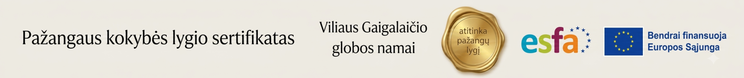 Viliaus Gaigalaičio globos namų sertifikatas - baneris